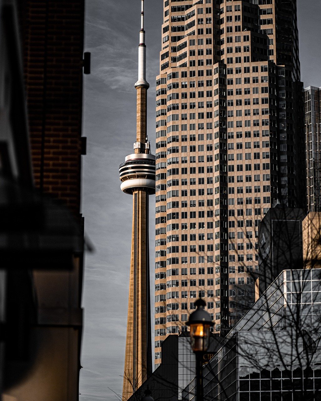 Study in Canada 